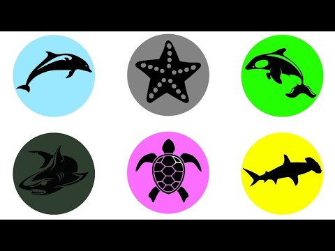 Video: 60 Nama Ikan Lucu
