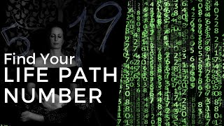 What Is Your Life Path Number - The Life Path Numbers 1-9 | Numerology