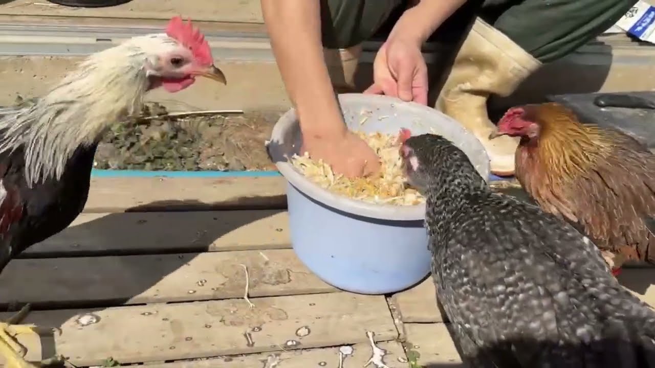 令和８年3月1日のお世話