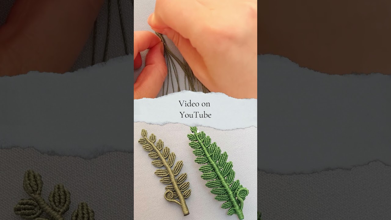 Nature’s Perfect Spiral: The Fern Unfolds