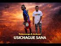 Kokosango Ft Jackson Usichague Sana Music Audio Babatoni