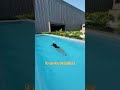 Such an easy-to-install swimming pool
