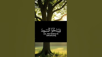 القران الكريم ياسر الدوسري صوت عذب #القرآن #اكسبلور #المصحف #القرآن_الكريم