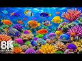8K Deep Ocean Creatures – Tropical Sea Animals & Peaceful Aquarium Relaxation Music #2
