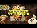 Dofus retro astuce kamas  une zone oublie qui rapporte gros 