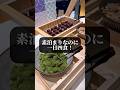 素泊まりなのに一日4食!無料サービスが凄すぎる! リッチモンドプレミア京都駅前 #shorts #japantravel #ホテルラウンジ #京都ホテル #京都グルメ #食べ放題 #kyoto