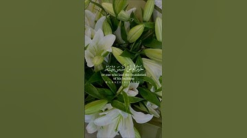 أفمن أسس بنيانه على تقوى من الله ورضوان خيرأم من أسس بنيانه﴾ #سورة_التوبة 109 #قرآن #قران_كريم