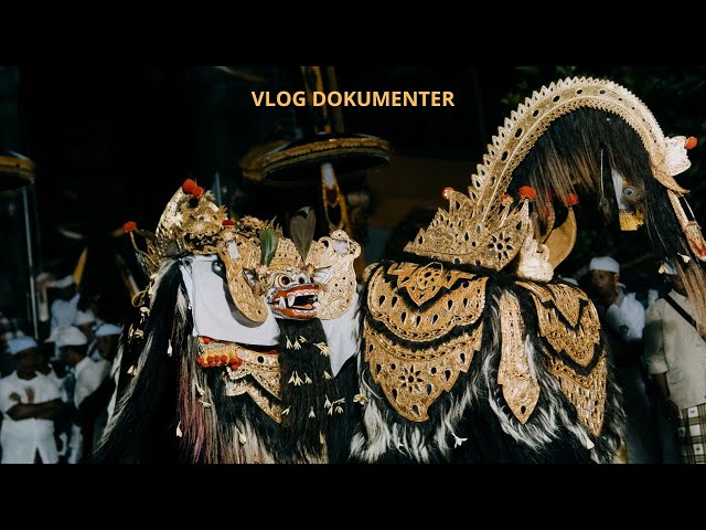 BAPANG BARONG | Vlog Dokumenter | Selabih Wanasari class=