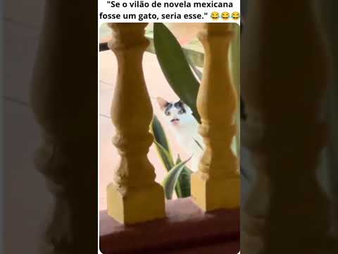 Nao esperava por isso 😂😂😂😂 me segue para mais #humor #engraçado #viral #tops