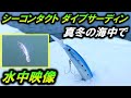 【ダイブサーディン 120S】水中映像。シーバス 青物 ミノー！ルアーを冬の海で泳がせてみた。PROTRUST