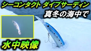 【ダイブサーディン 120S】水中映像。シーバス 青物 ミノー！ルアーを冬の海で泳がせてみた。PROTRUST