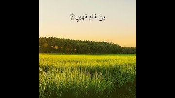 تلاوة خاشعة تريح القلب والاعصاب بصوت القارئ اسلام صبحي | الَّذِي أَحْسَنَ كُلَّ شَيْءٍ خَلَقَهُ ۖ