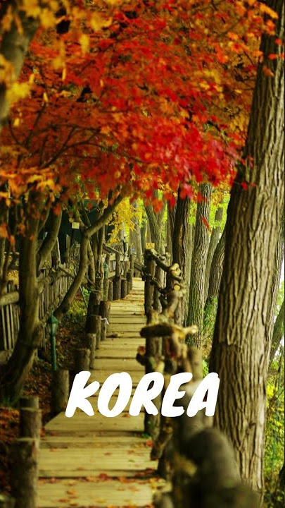 tourist destination in korea #shorts