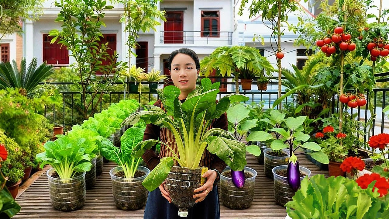 Небольшое пространство? Старые пластиковые бутылки? Создайте такой же зелёный сад!