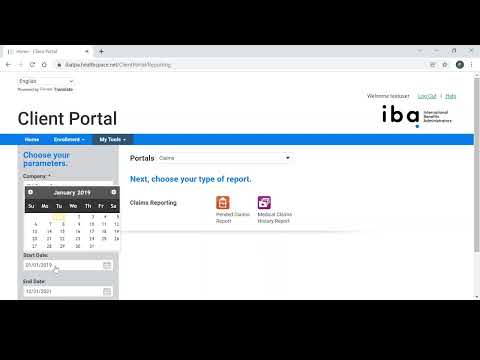 IBA Portal - How to Run Reporting