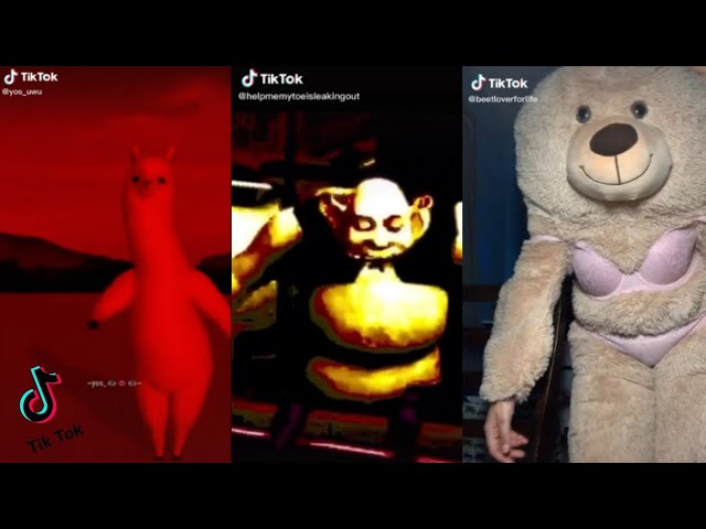 Vídeos incríveis que SÓ O TIKTOK MOSTRA - #IssoOTikTokMostra