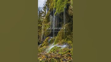 (وهيئ لَنا مِن أمرنا رَشَدا) ماتيسر من سورة الكهف للقارئ الشيخ أحمد العجمي ♥️🌿