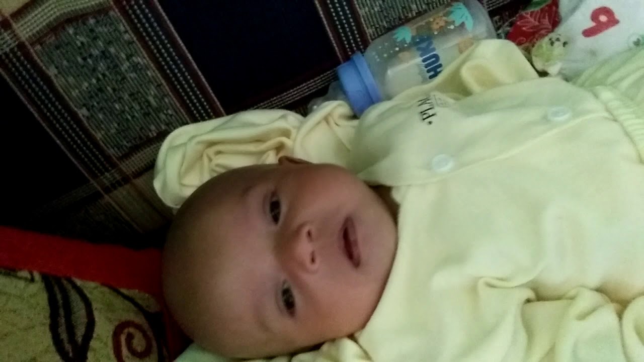 ALIFA NAUFALYN FIKRIA RABBANI(4) YouTube
