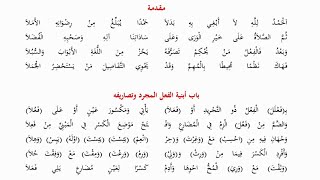 سلسلة قراءة المنظومات العلمية (٤) لامية الأفعال أداء/ محمد بن عبد الكريم الإسحاقي