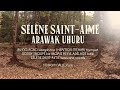 Arawak uhuru  slne saintaim