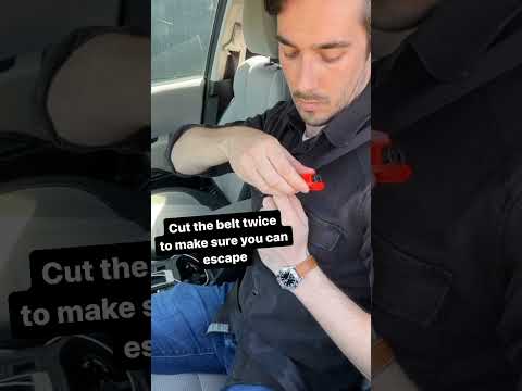 We are cutting our own seat belt? 😮