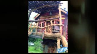 Fish Shanty Shack Tree House