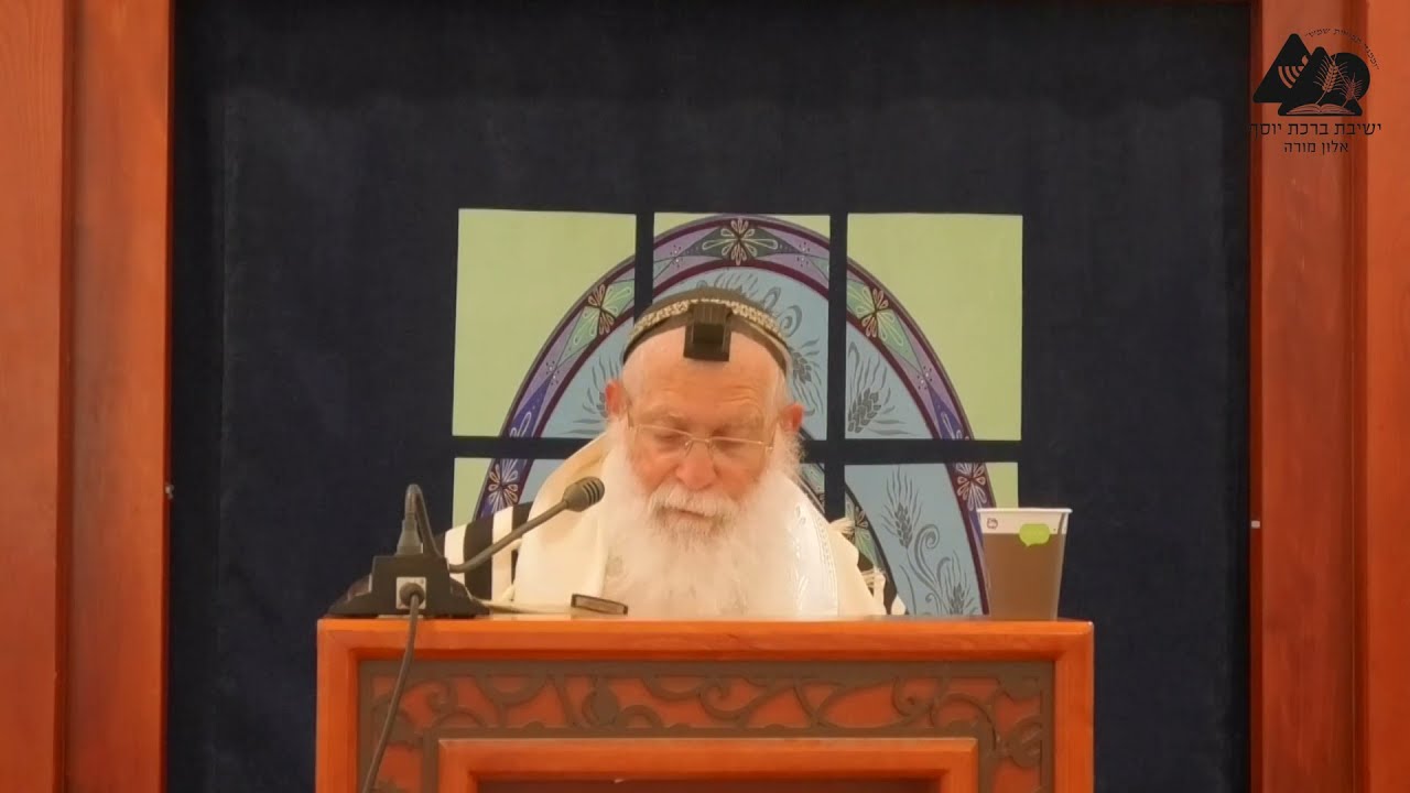 דין כהן שהרג את הנפש | הרב אליקים לבנון | הלכות ברכת כהנים | 16