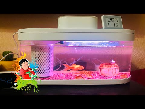 Видео: Обслуживаем аквариум Xiaomi Чистим двигатель фильтра и подачи кислорода чистим фидер и аквариум №650