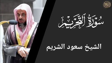 سورة التحريم - سعود الشريم Surat Al-Tahrim - Saud Al-Shuraim