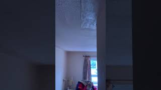 IMG 6728 06:58 4 SEP 2026  BANNING MMY CEILING