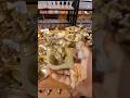 Puja items Shopping videos #ஆன்மீகசிந்தனைகள் #shoppingvlog #pujatips