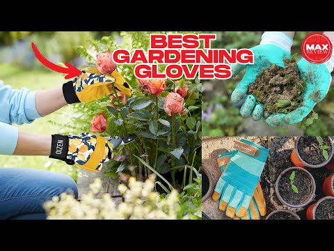 The Best Gloves