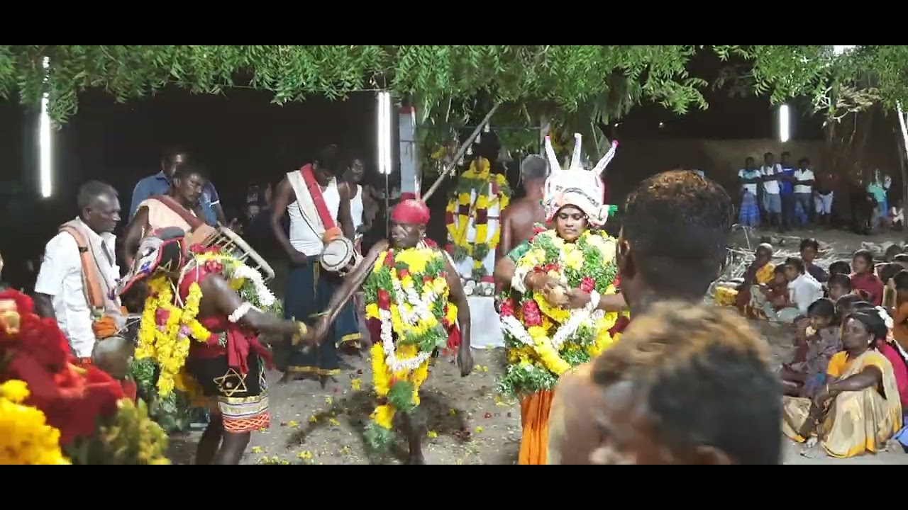 Govinthan patti madasamy kovil kodai 4.8.2023