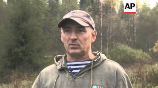 Orphaned bear cub released into the wild