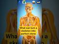 The Perfect Petrification Test Turning Bone To Stone Health Lifestyle Healthtips
