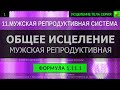 1.11.1 🎧 Здоровая Мужская Половая Система ГЛУБОКОЕ ИСЦЕЛЕНИЕ (резонансный саблиминал)