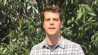 In a Minute Episode 20: Why, When, and Where to Place Yellowjacket Traps