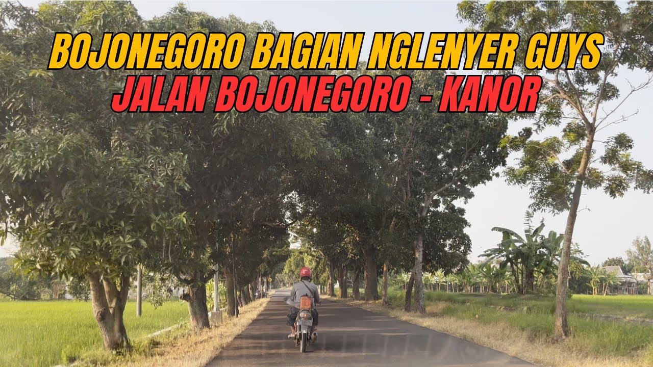 JALAN SUMBEREJO - KANOR (BOJONEGORO) FULL NGLENYER GUYSS ||Vlog ke-53 #bojonegoro #bojonegorohits