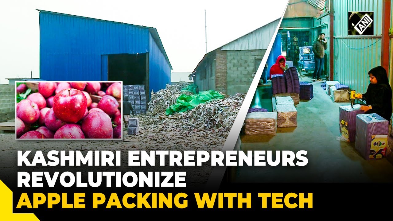 Kashmiri entrepreneurs find high-tech solution for apple packing - YouTube