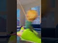 NiKO RiDES an ALLiGATOR in our HOUSE!! Adley's Home FLOODED with LAVA! new Family Cartoon!! #shorts Mp3 Song