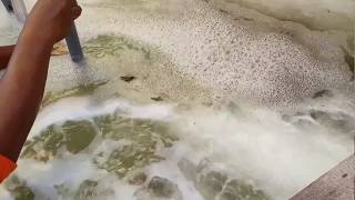 Microbubble JSW6 untuk udang dan ikan di air asin