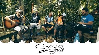 Video thumbnail of "Oogee Wawa - Tips (Live Music) | Sugarshack Sessions"