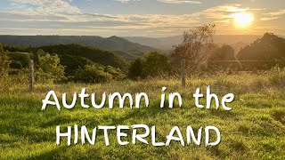 Autumn in the Sunshine Coast Hinterland I Queensland, Australia Travel Vlog 154, 2023
