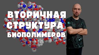 картинка: Что такое вторичная структура биополимеров? Душкин объяснит