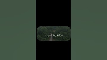 Ali jaber #quran #قران_كريم #تلاوة_خاشعة