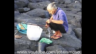 Fishing White seabream / Pesca ao Sargo  /   Karagöz Balıkçılık Pêche de sar   الدنيس الأبيض