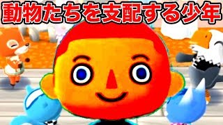 キャンプ場のどうぶつたち仲悪いじゃねえか！！！【どうぶつの森 ポケットキャンプ】