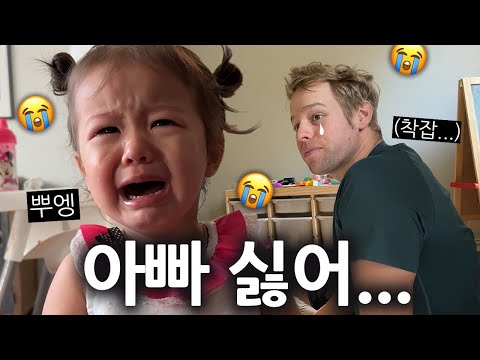 체리가 저를 갑자기 싫어한대요... 이럴 땐 어떻게 해요? ㅠㅠ