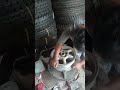 cleaning mugs and change tire for reserve#viralvedio #highlights#million vews