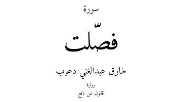 41 - القرآن الكريم - سورة فصّلت - طارق عبدالغني دعوب